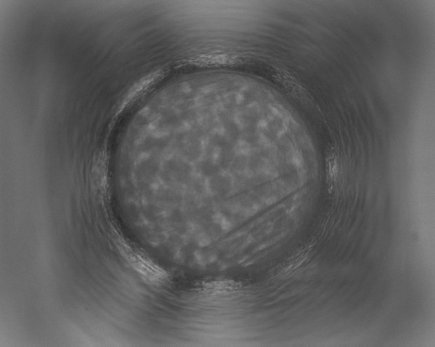 X0000051240396200507011631