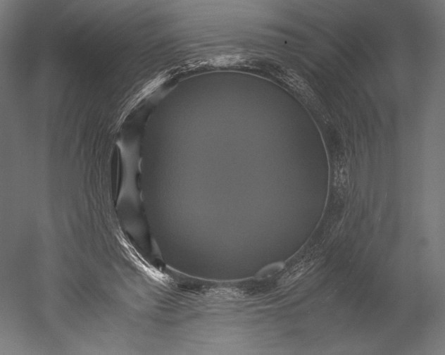 X0000051240397200507011631