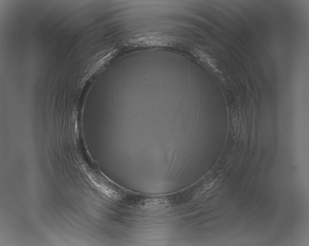 X0000051240398200507011631