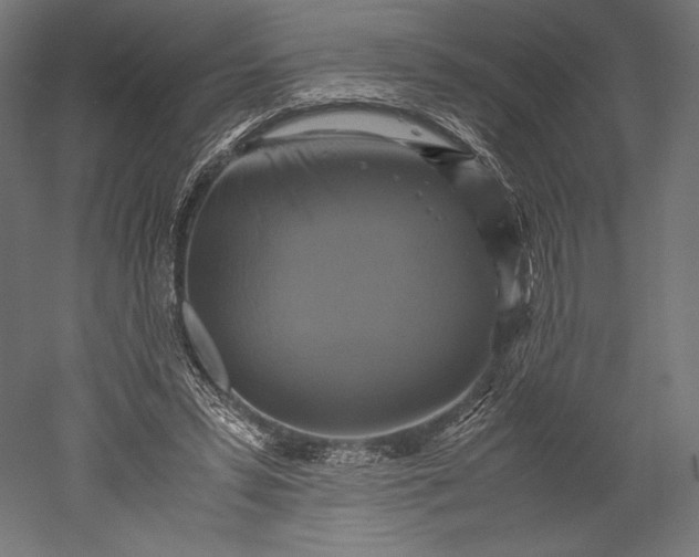 X0000051240399200507011631