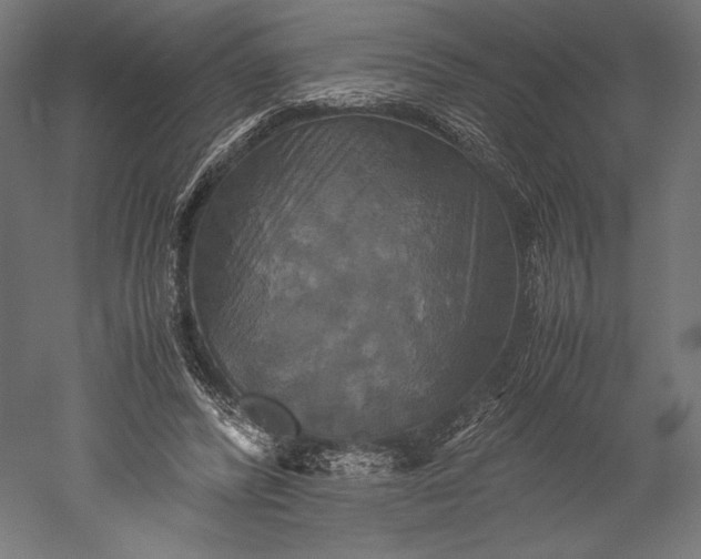 X0000051240400200507011631