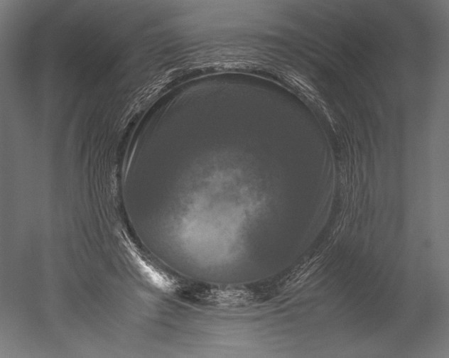 X0000051240401200507011631