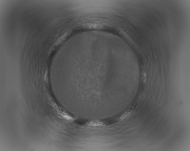 X0000051240403200507011631