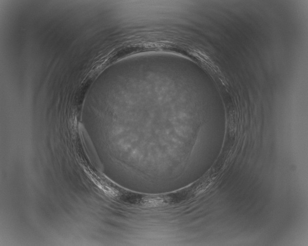 X0000051240405200507011631