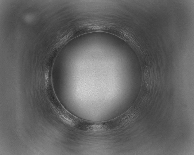 X0000051240406200507011631