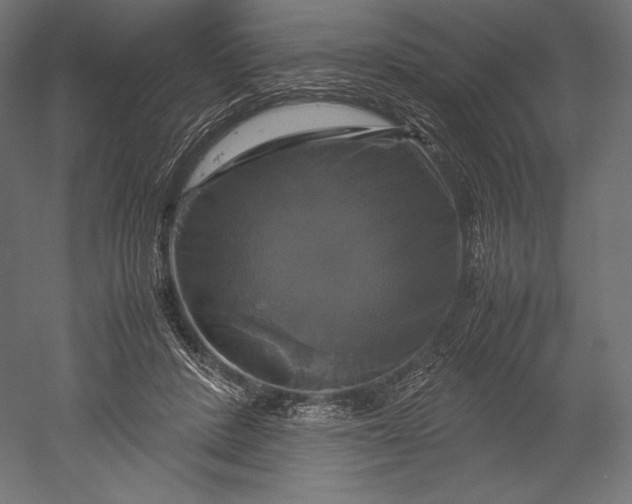 X0000051240408200507011631