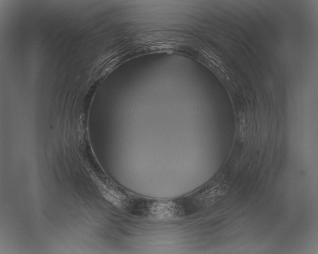 X0000051240410200507011631