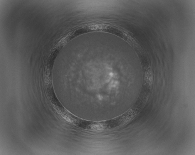 X0000051240411200507011631