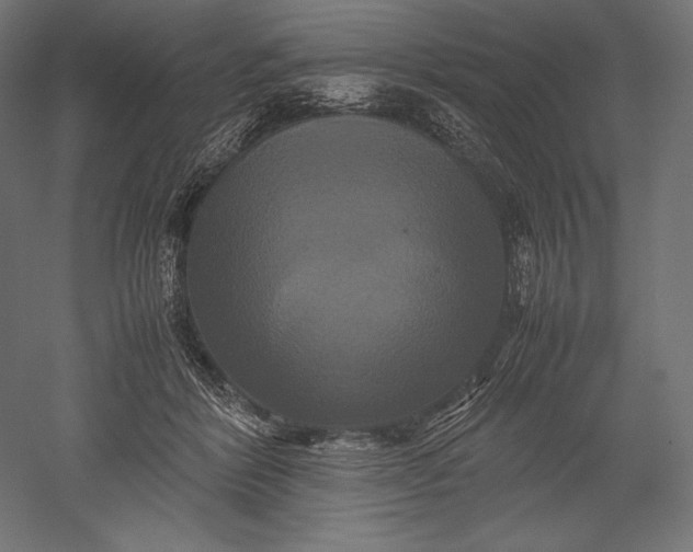 X0000051240412200507011631