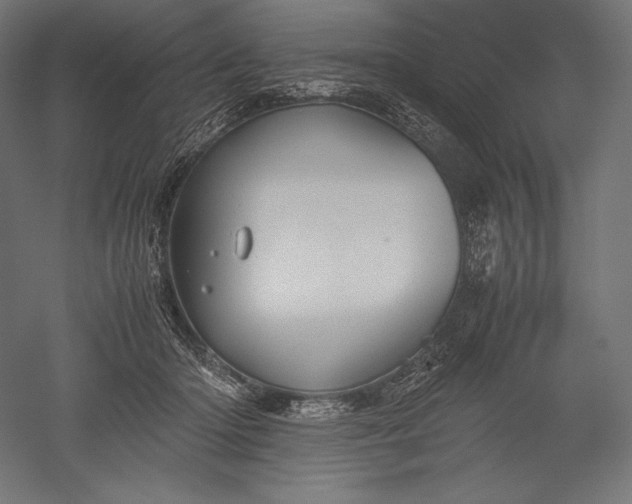 X0000051240414200507011631