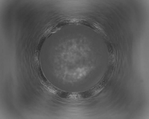 X0000051240415200507011631