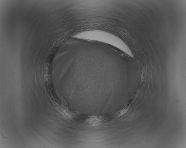 X0000051240416200507011631