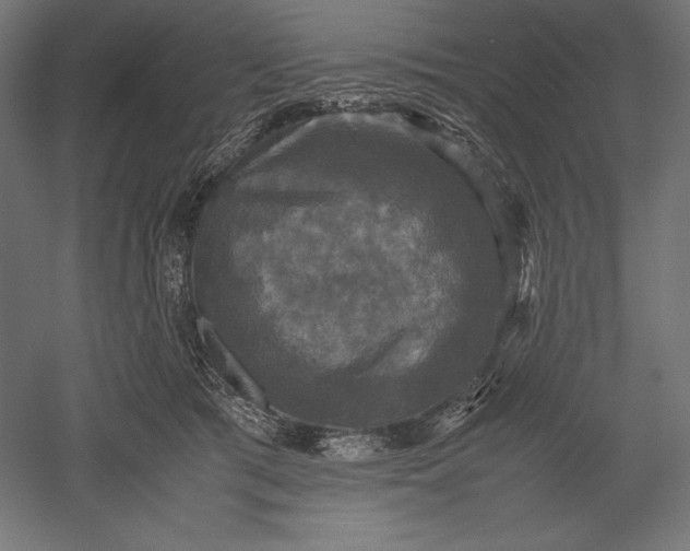 X0000051240417200507011631