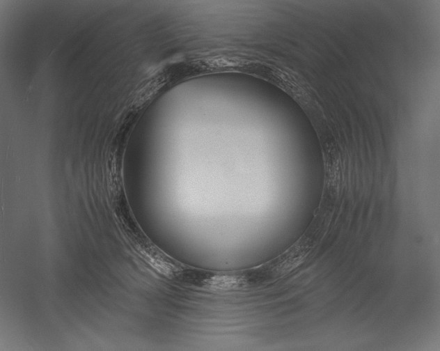 X0000051240418200507011631