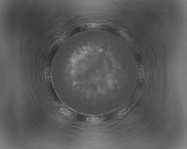 X0000051240419200507011631