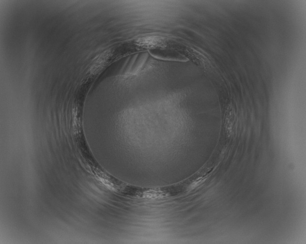 X0000051240420200507011631