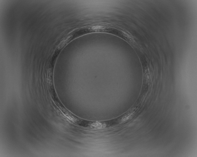 X0000051240421200507011631