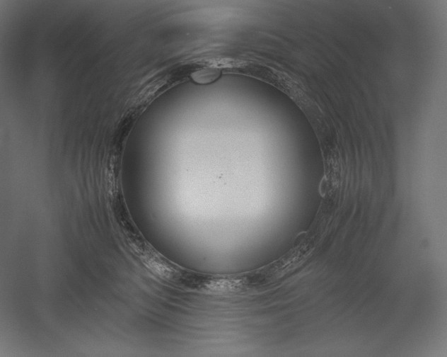 X0000051240422200507011631