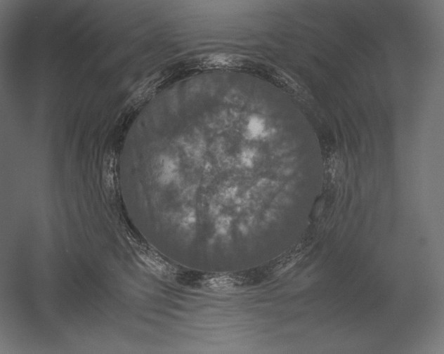 X0000051240423200507011631