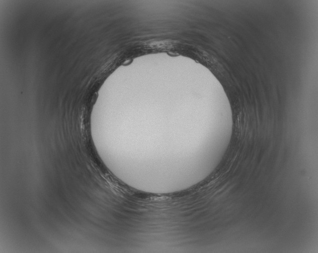 X0000051240424200507011631