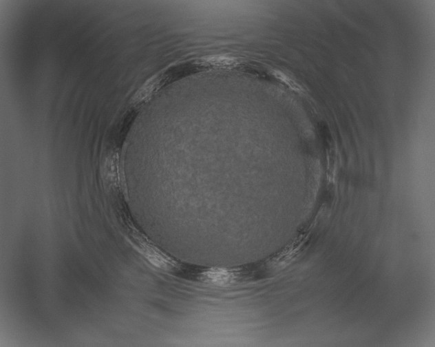 X0000051240425200507011631