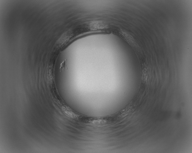 X0000051240426200507011631