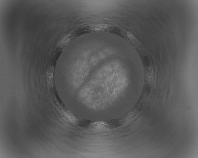 X0000051240427200507011631