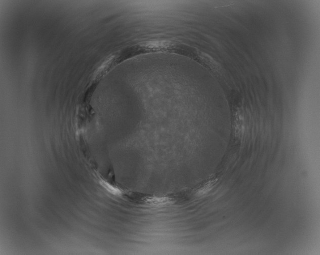 X0000051240428200507011631