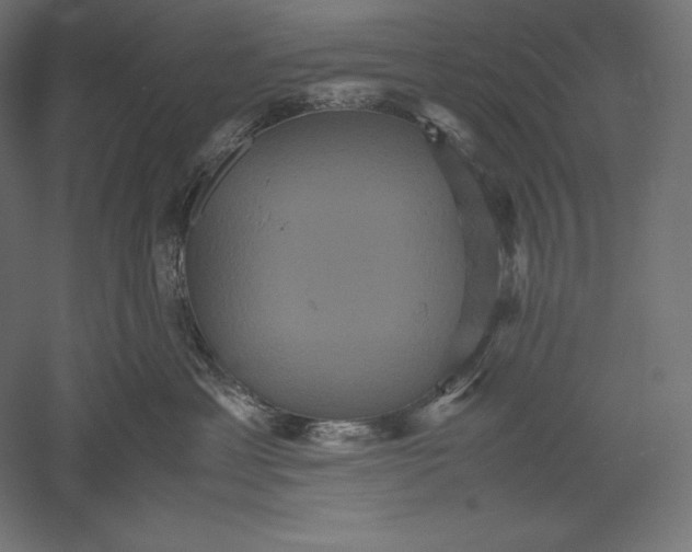 X0000051240429200507011631