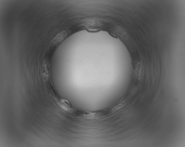 X0000051240430200507011631