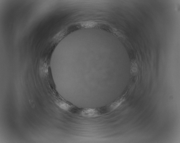 X0000051240431200507011631