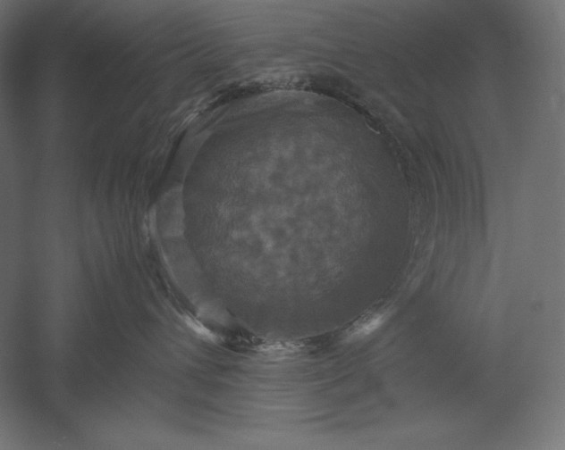 X0000051240432200507011631