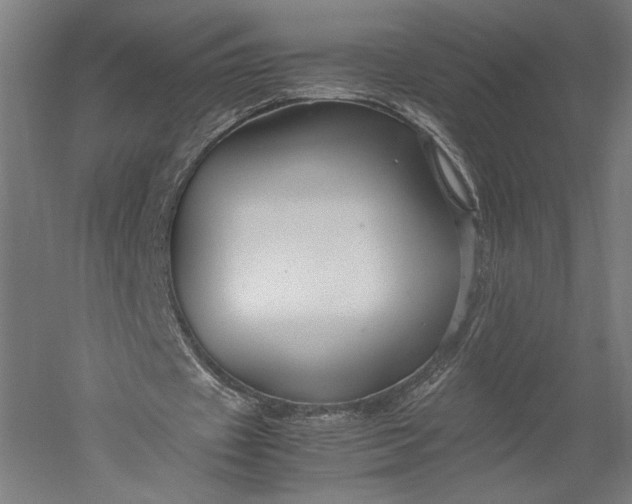 X0000051240433200507011630