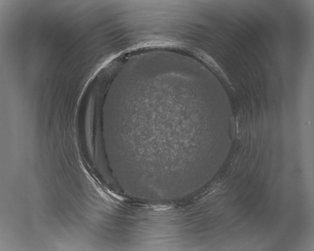 X0000051240436200507011630