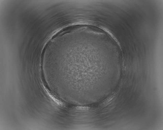 X0000051240437200507011630