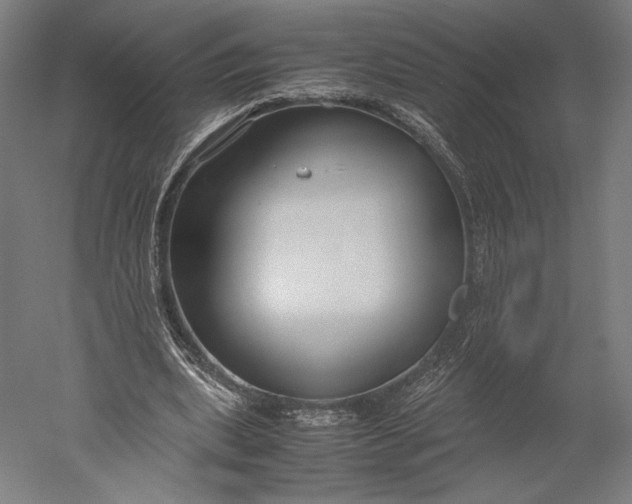 X0000051240439200507011630