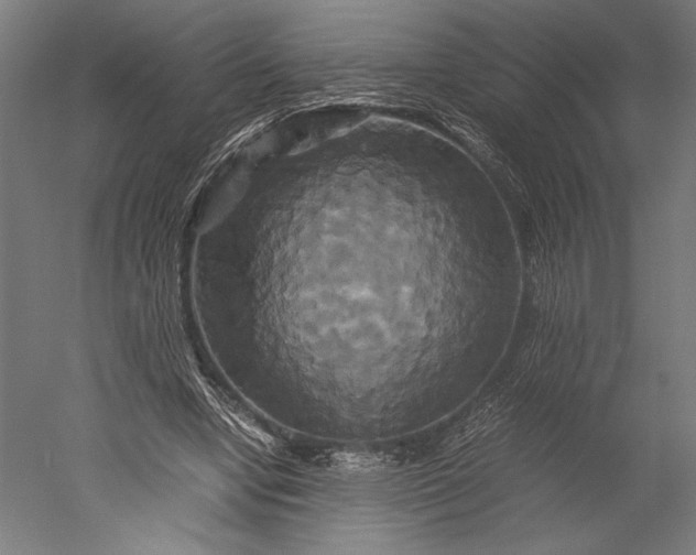 X0000051240442200507011630