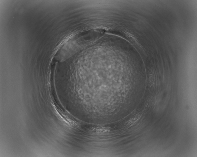 X0000051240443200507011630