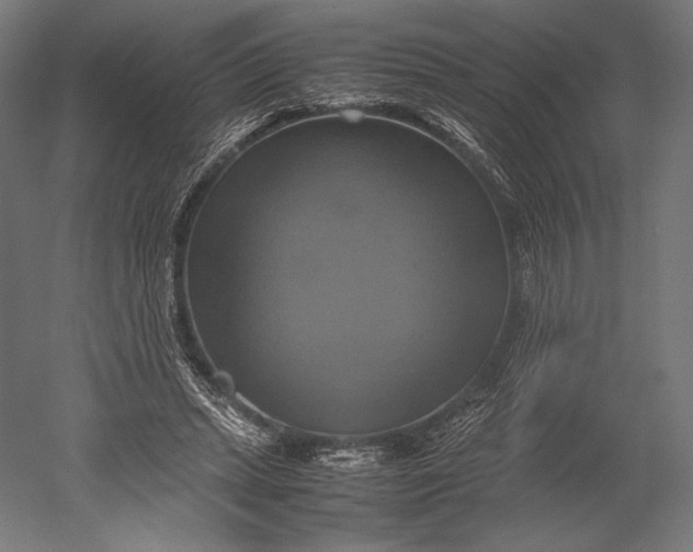 X0000051240447200507011630