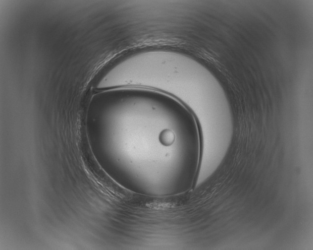 X0000051240448200507011630