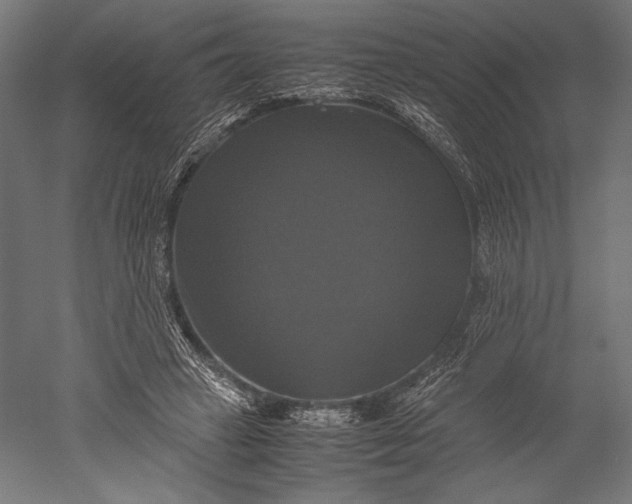 X0000051240449200507011630