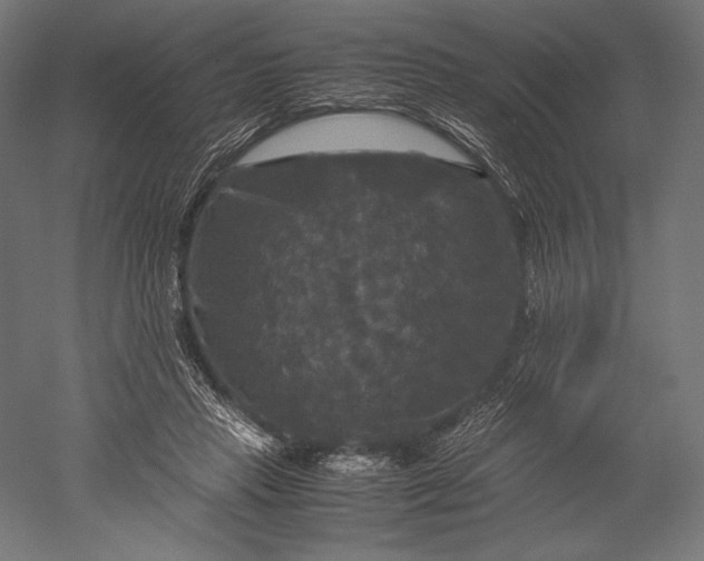 X0000051240453200507011630