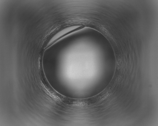 X0000051240454200507011630