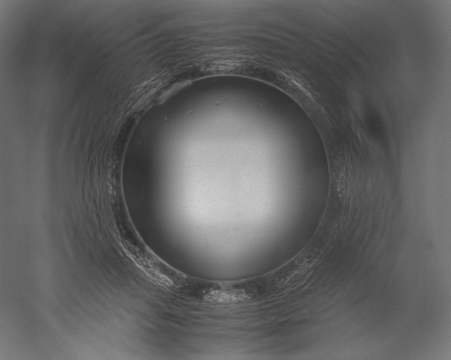 X0000051240455200507011630