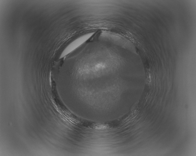 X0000051240456200507011630