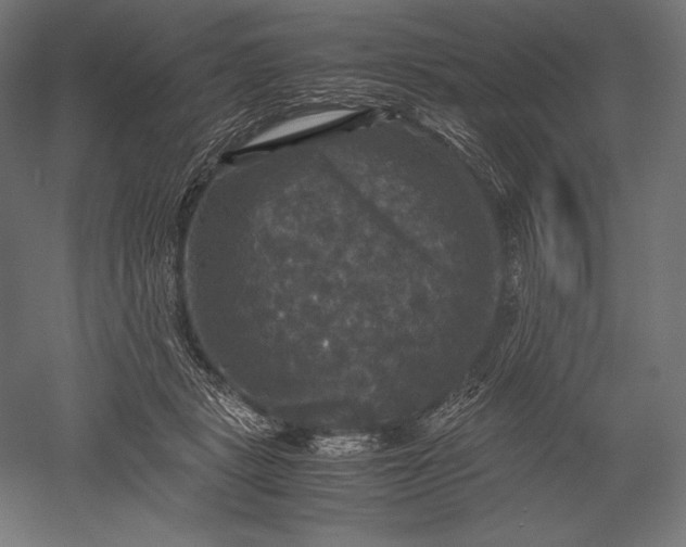 X0000051240461200507011630