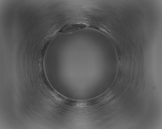 X0000051240462200507011630