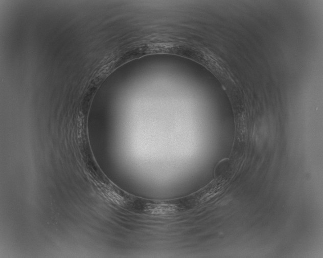 X0000051240463200507011630