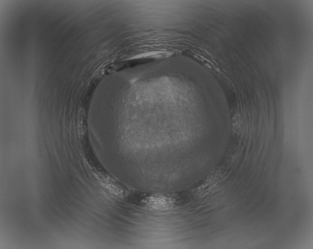 X0000051240464200507011630