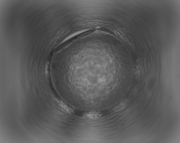 X0000051240466200507011631